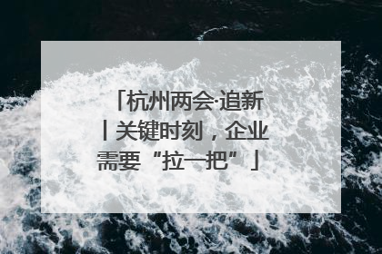 杭州两会·追新丨关键时刻，企业需要“拉一把”